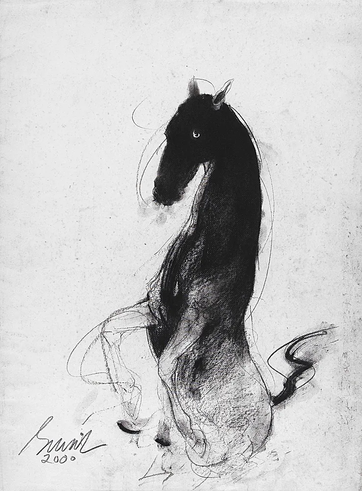Horse by Sunil Das
